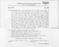 Puccinia graminis image